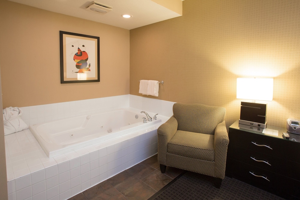 Holiday Inn Hotel Suites St Paul Ne Lake Elmo 41/80