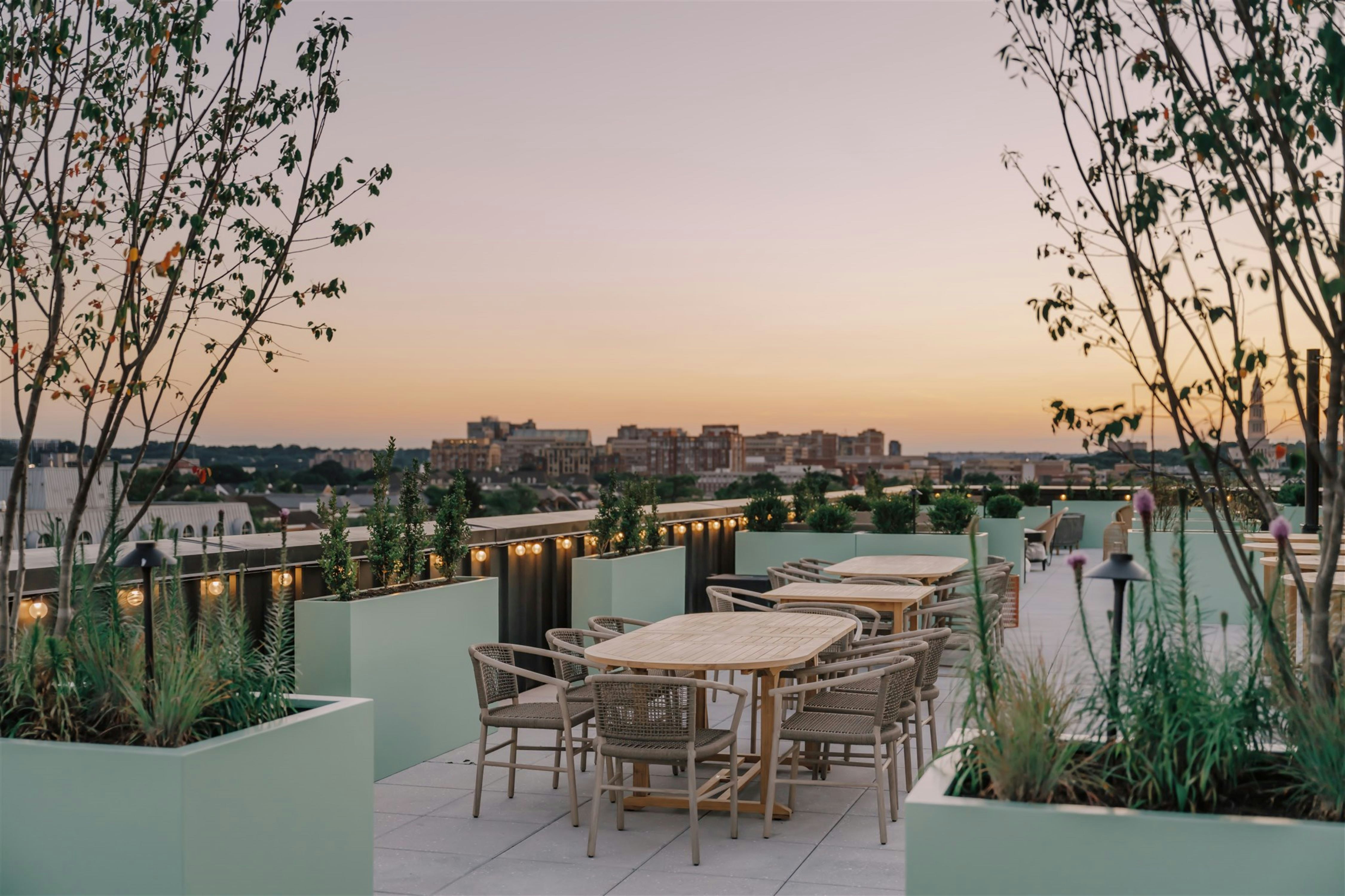 Hotel Heron Alexandria Old Town, Curio Collection by Hilton 38/50