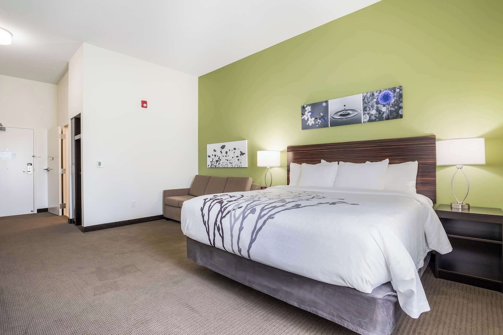 EFFICIENCY, SUITE, KING BED, ACCESSIBLE