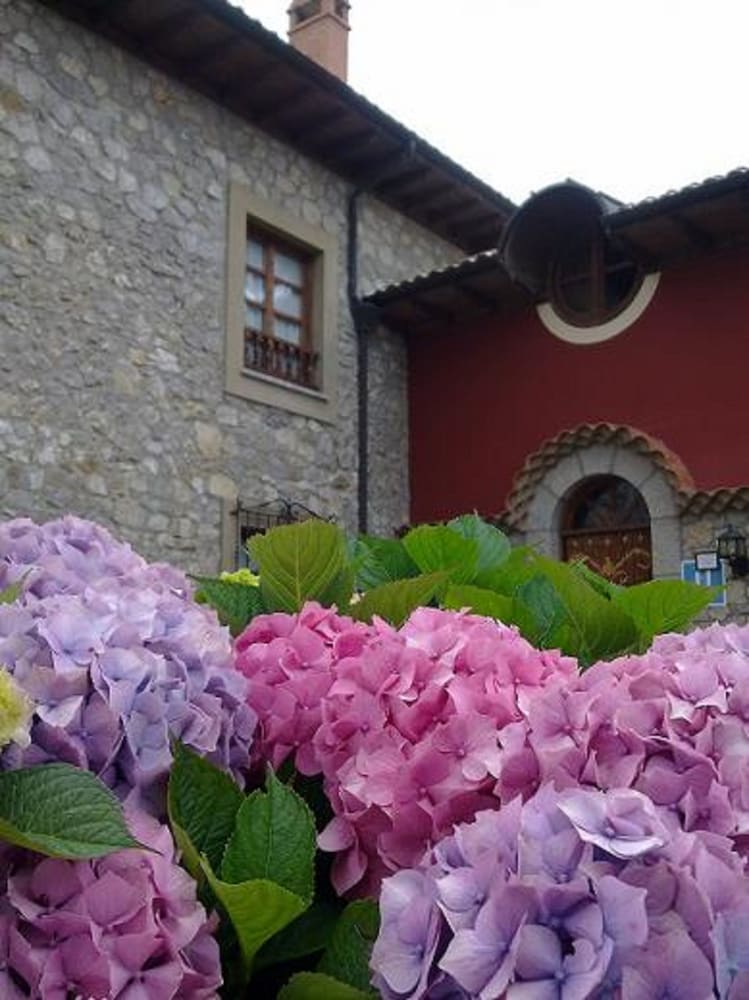 Hotel Ovio 46/50
