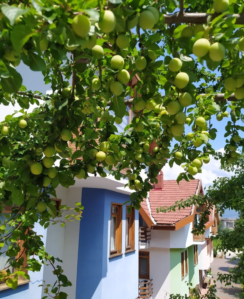 Bolu Yildiz Hotel 38/46