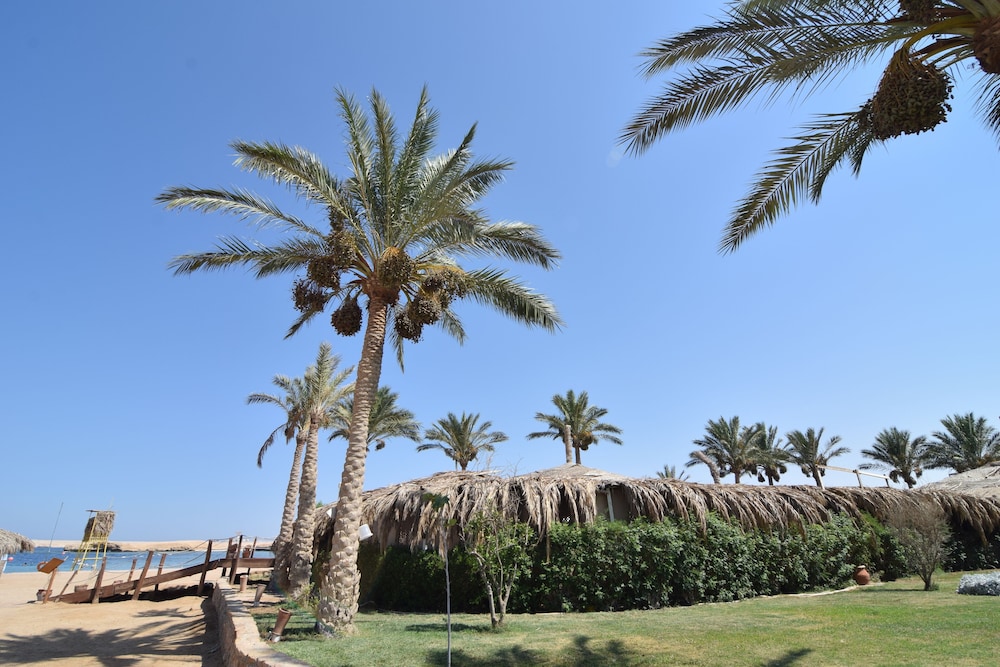 Sharm El Naga Resort and Diving Center 27/37