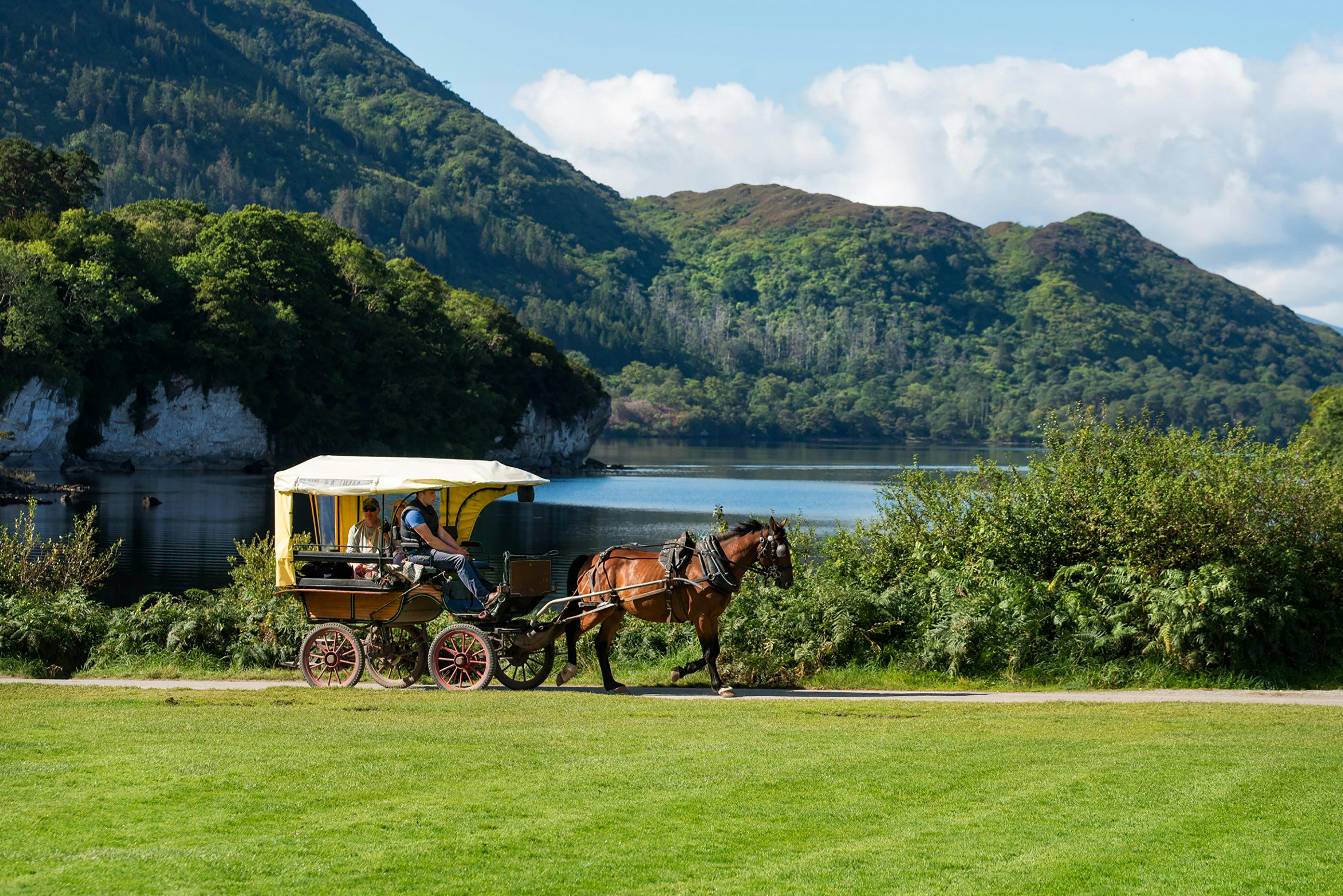 The Brehon 24/24