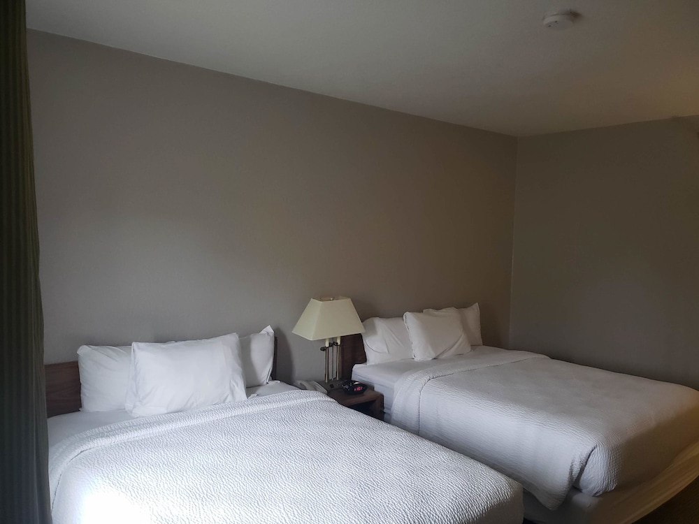 Country Inn & Suites by Radisson, Fairview Heights, IL 10/39