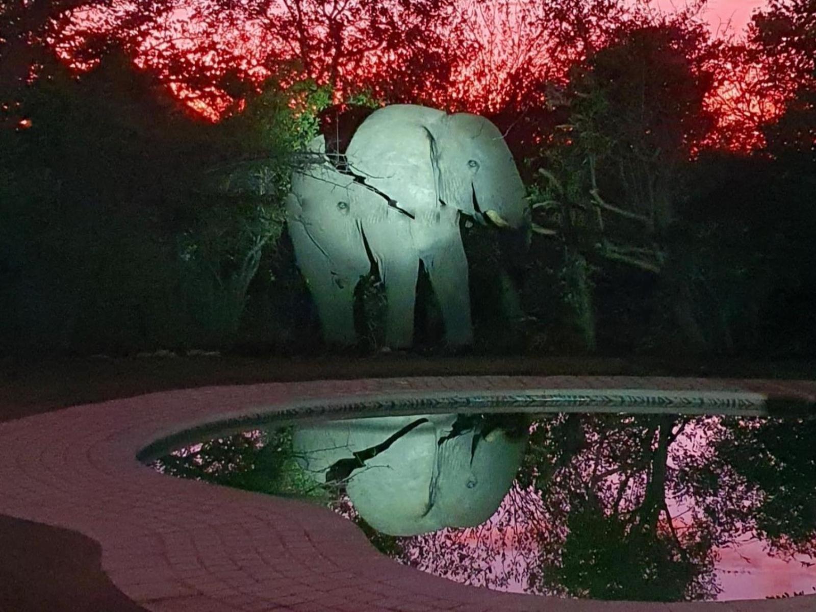 Masorini Bush Lodge 20/50