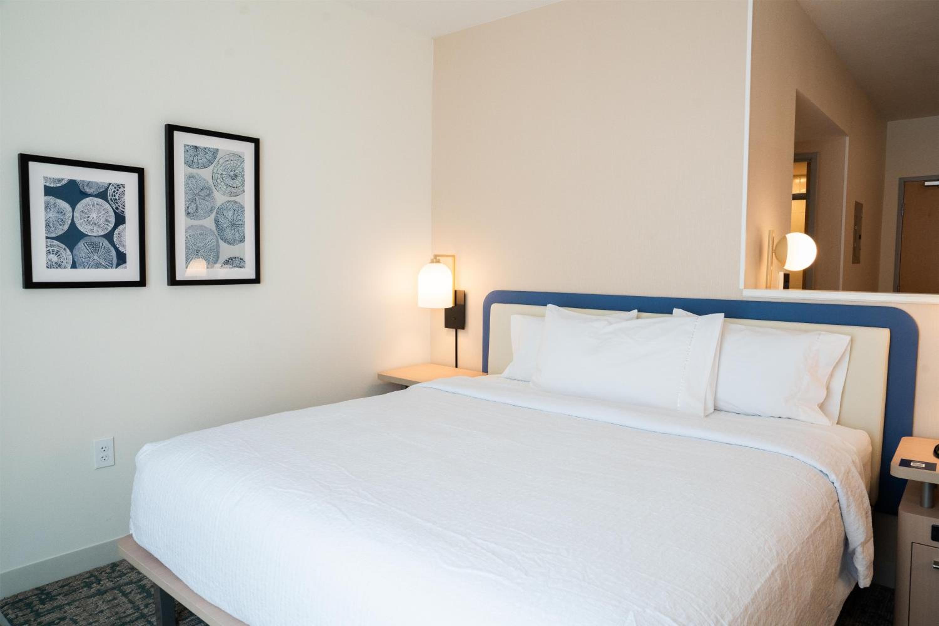 Efficiency, Suite, King Bed, Water View