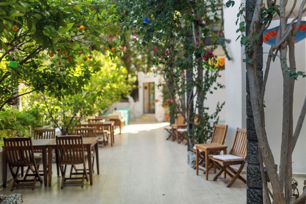 Eden Pyara Hotel Turunc 104/106