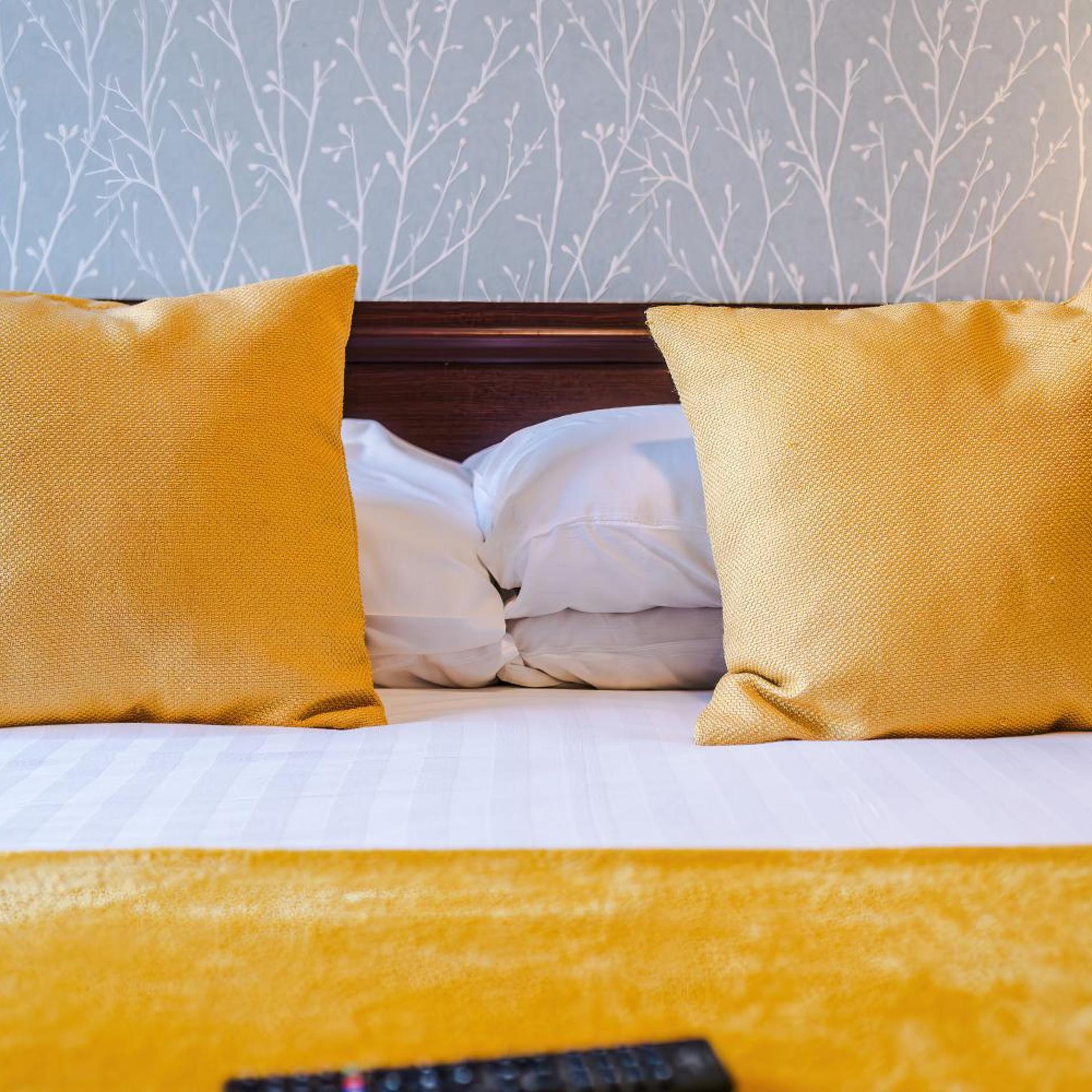 OYO Sonora Park Hotel 44/62