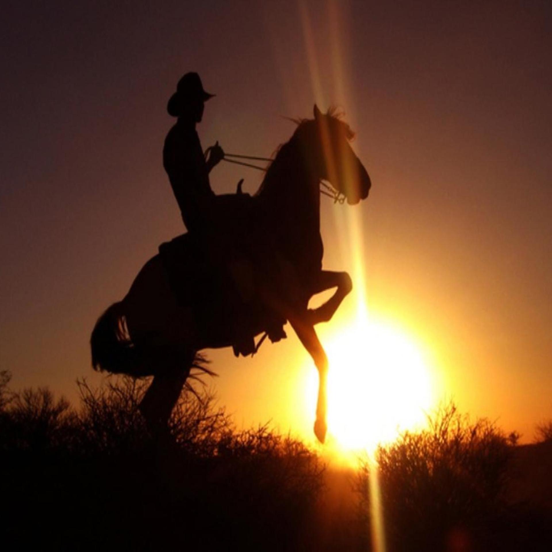 Stagecoach Trails Guest Ranch 49/50