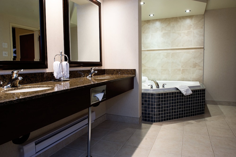 Holiday Inn Hotel & Suites West Edmonton 27/62