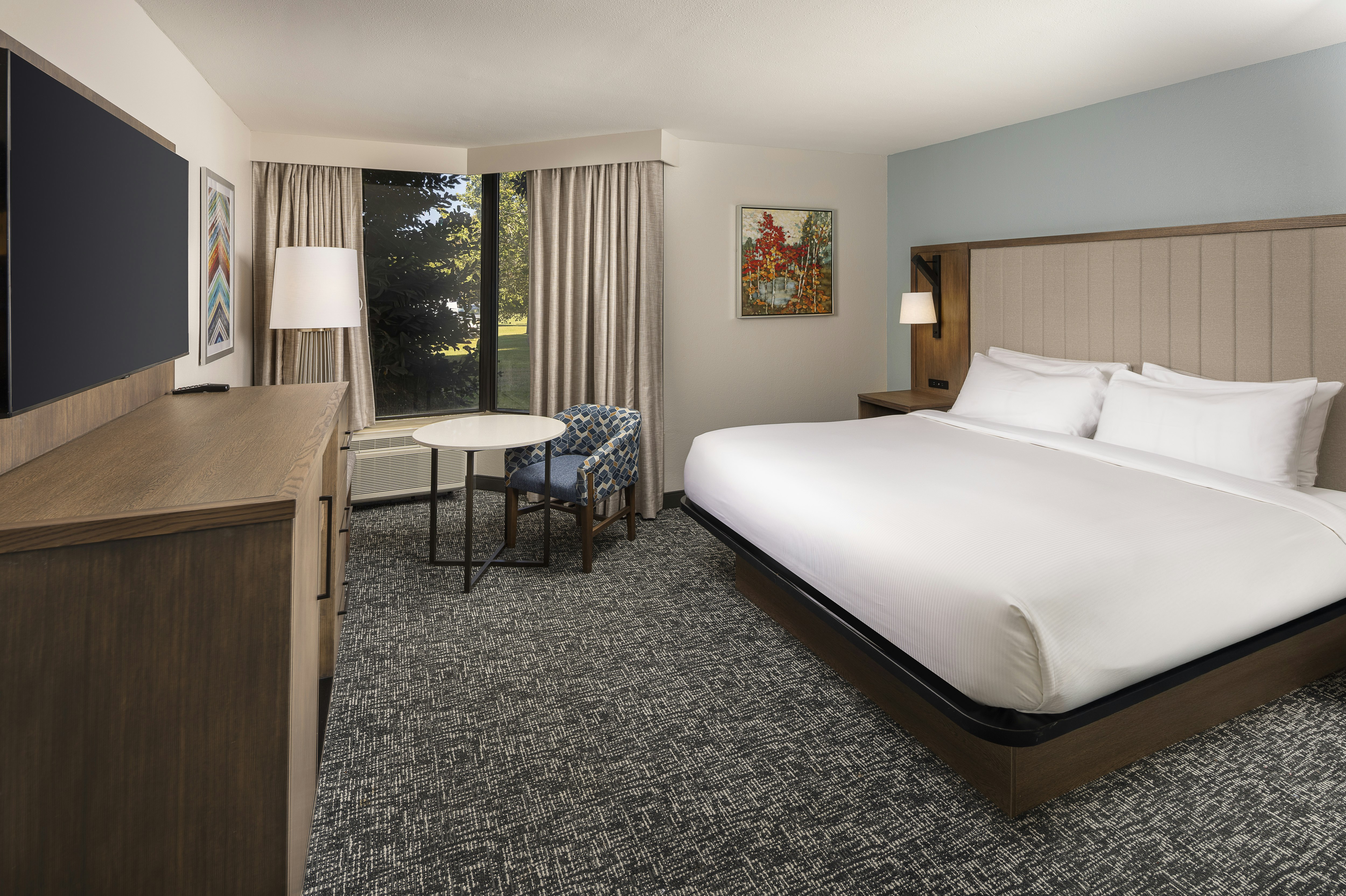 ROOM, KING BED, ACCESSIBLE