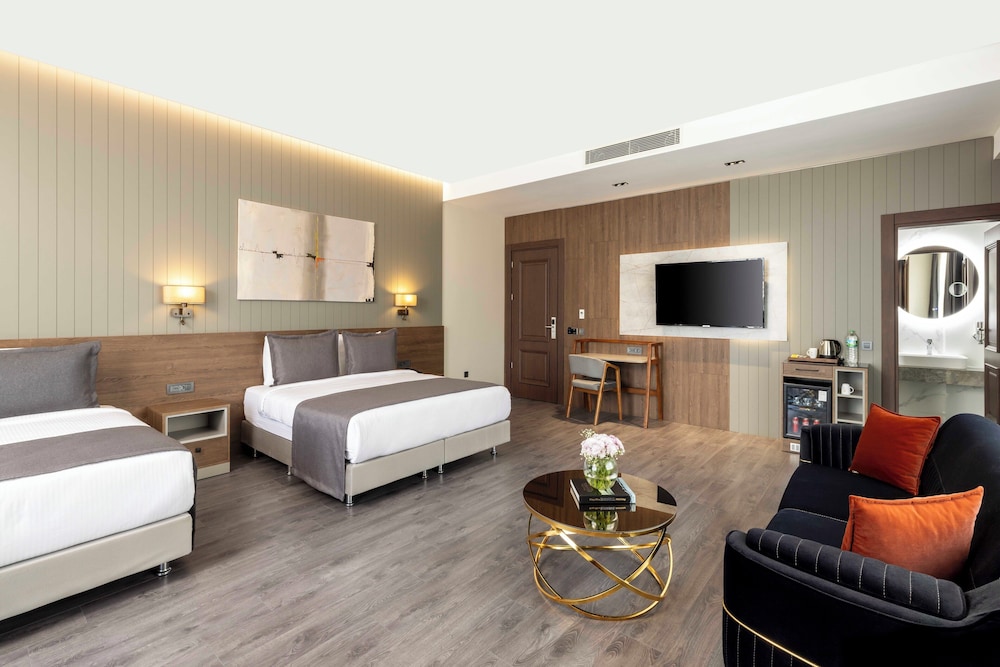 Ezkar Bathonea Art Istanbul Hotel 28/60