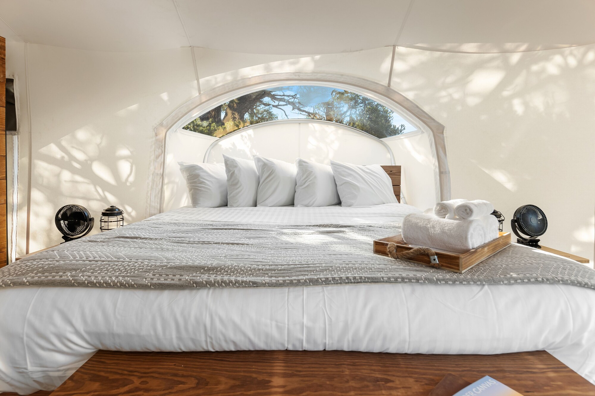 Stargazer, Tent, King and Twin Beds
