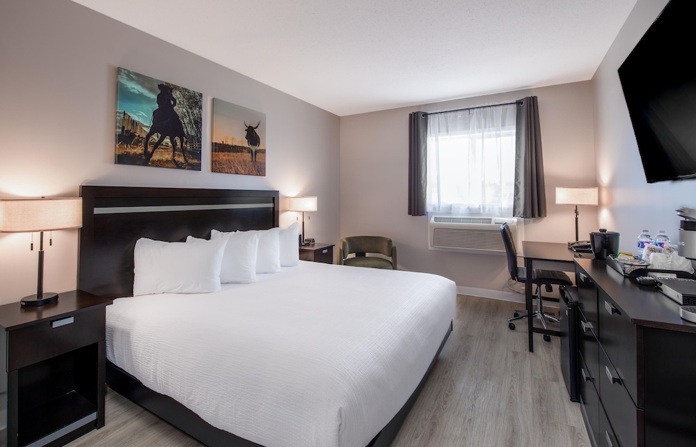 Travel Inn Suites Innisfail 19/46