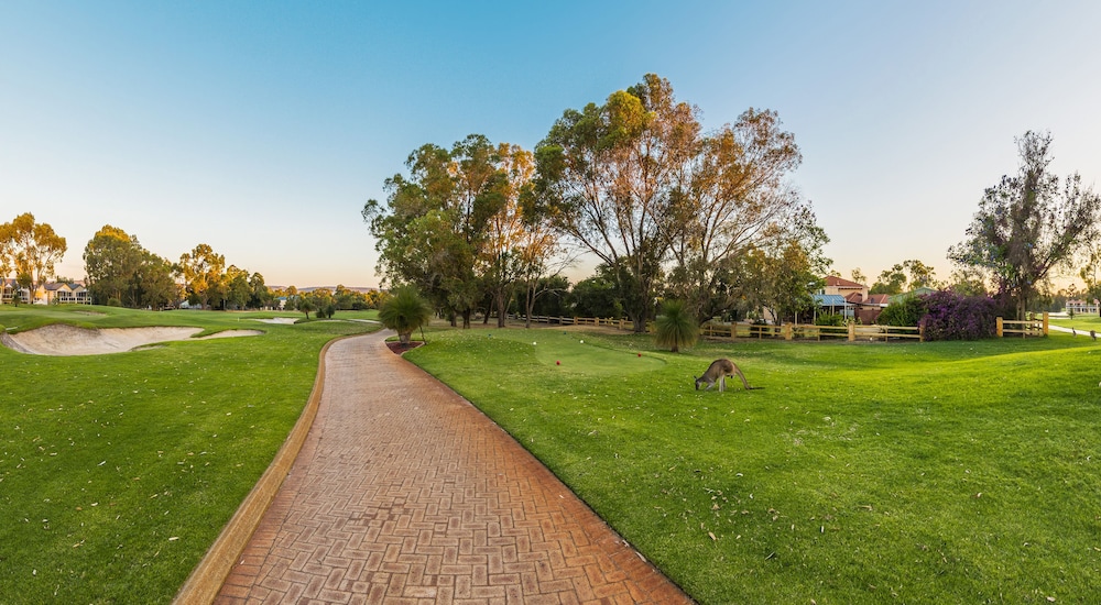 The Sebel Swan Valley The Vines 25/57