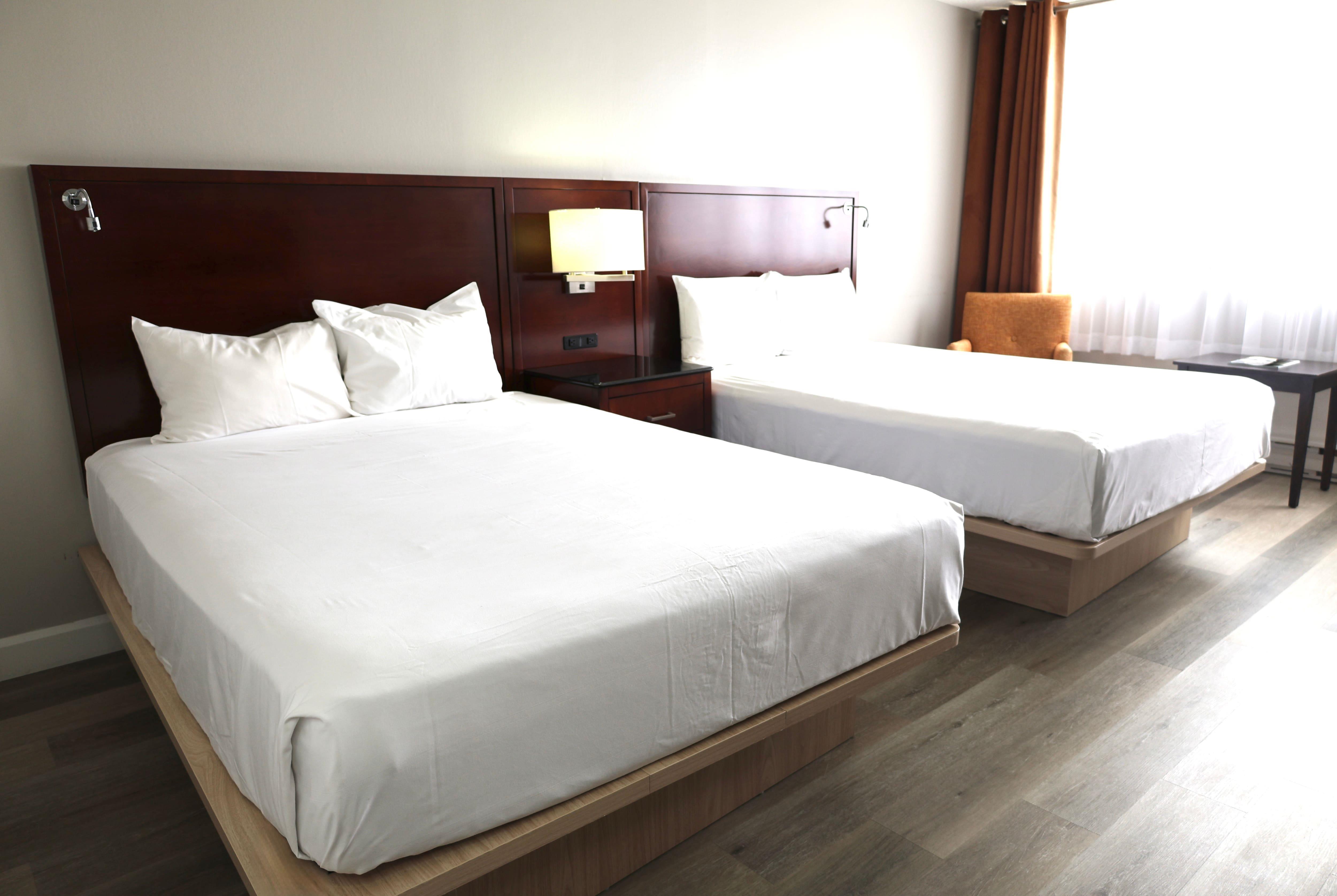 Room, Quadruple, 2 Queen Beds
