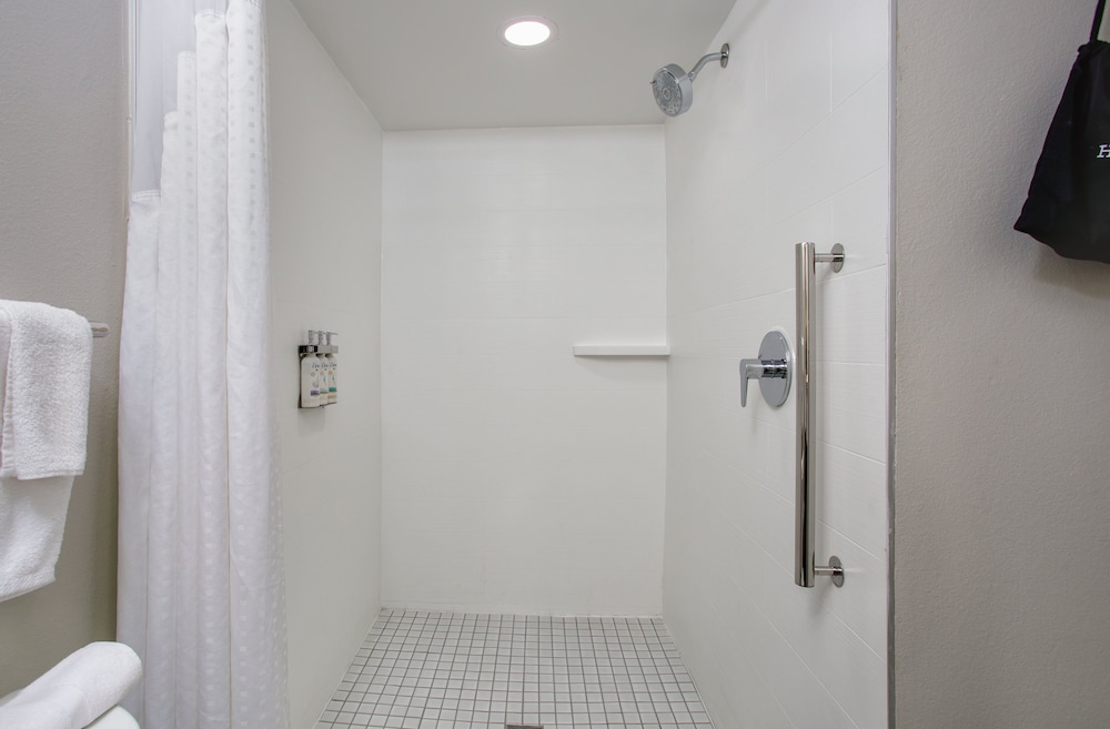 Standard, King Bed, Accessible, Holiday Inn Express Clearwater East Icot Center 8/10