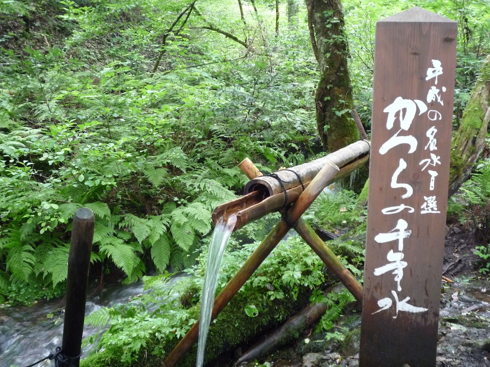 Hachikita Onsen Oyado Hisaya 50/50