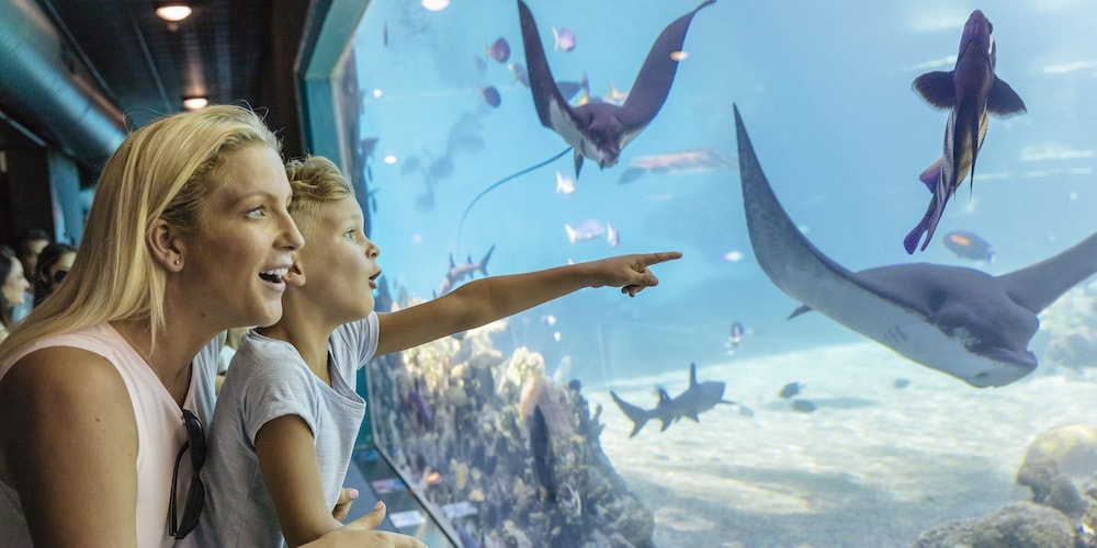 SEA WORLD RESORT 46/50