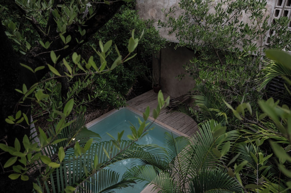 Casa Coyote Tulum 36/50