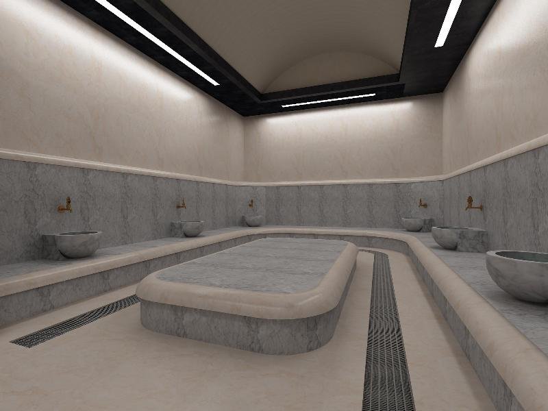 swimming pool spa