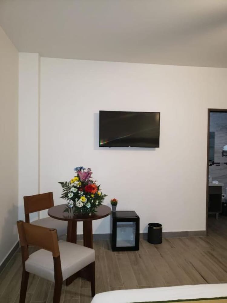 Hotel Cultura Plaza 32/50