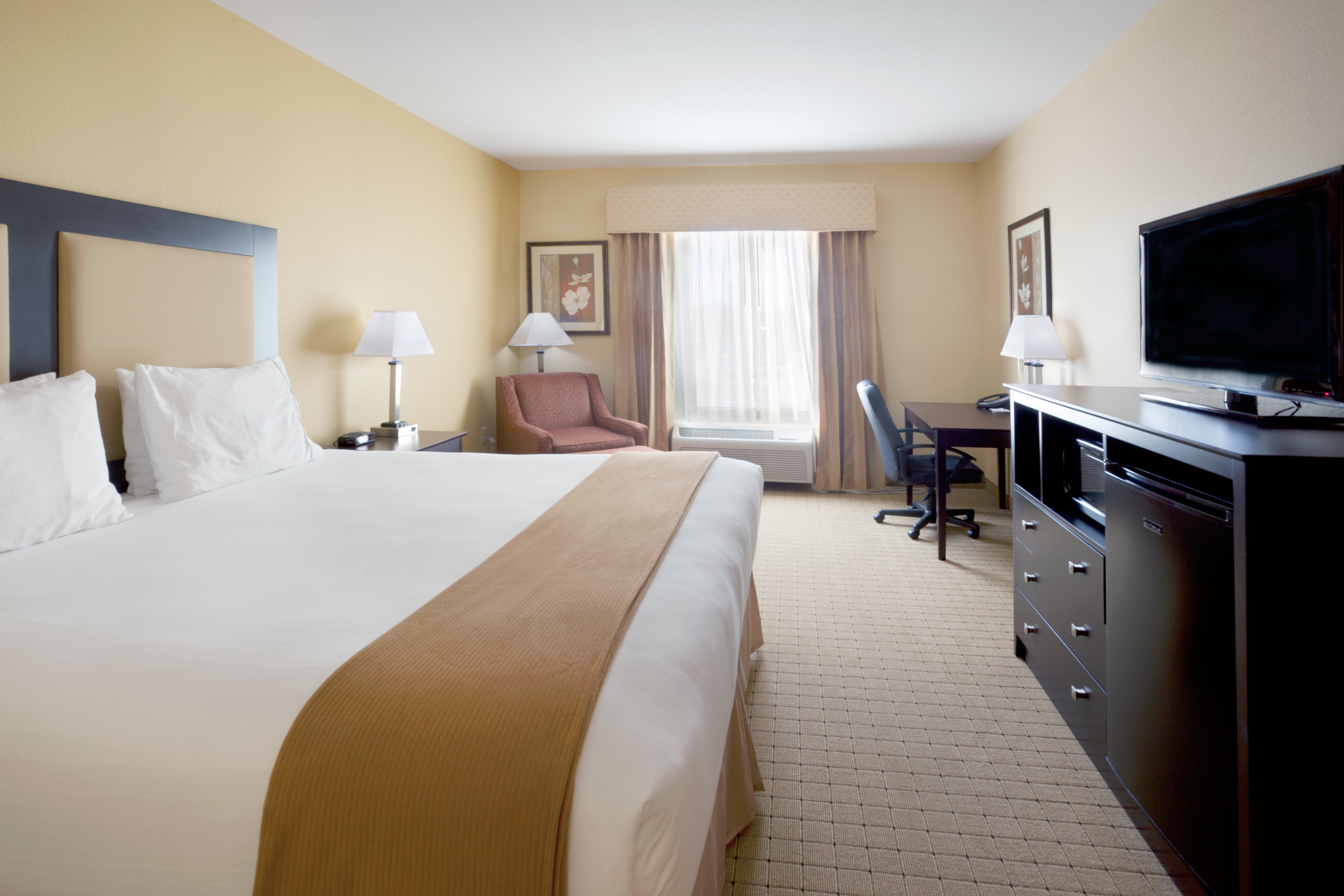 Holiday Inn Express Hotel And Suites Georgetown 13/28