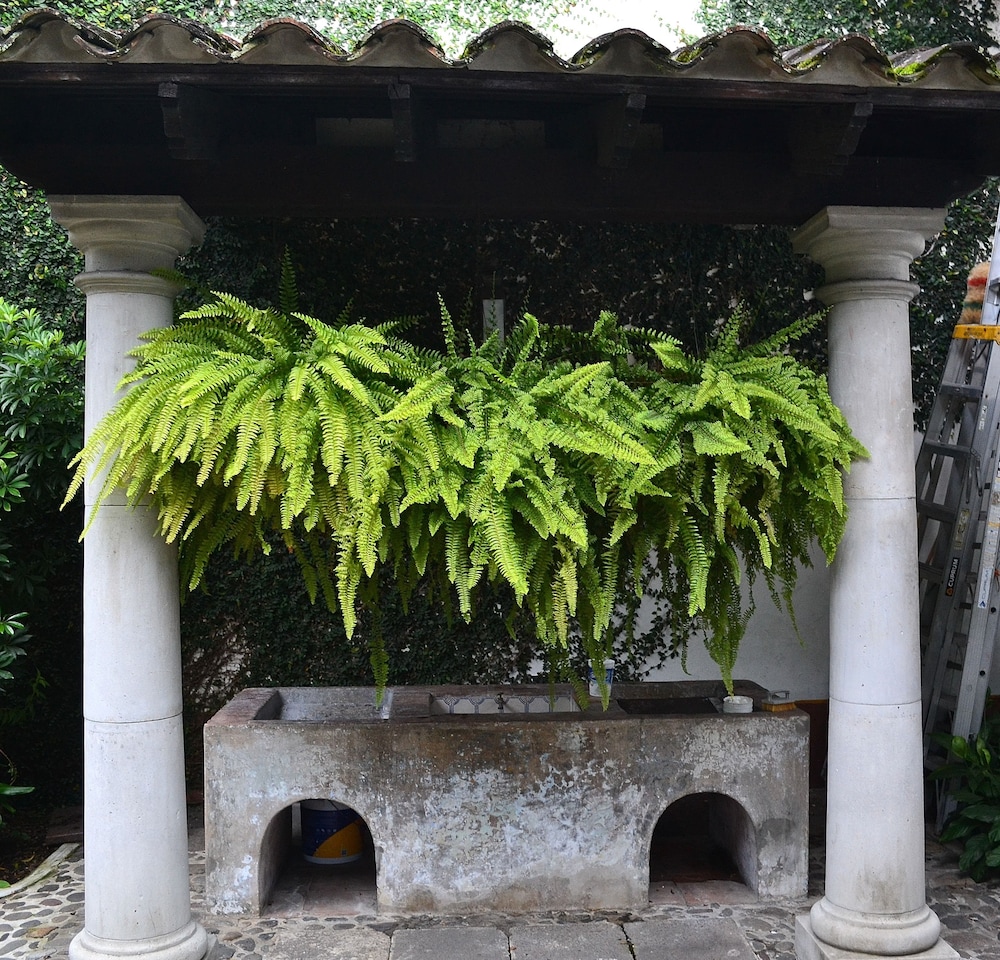 Meson del Alferez Coatepec 58/61