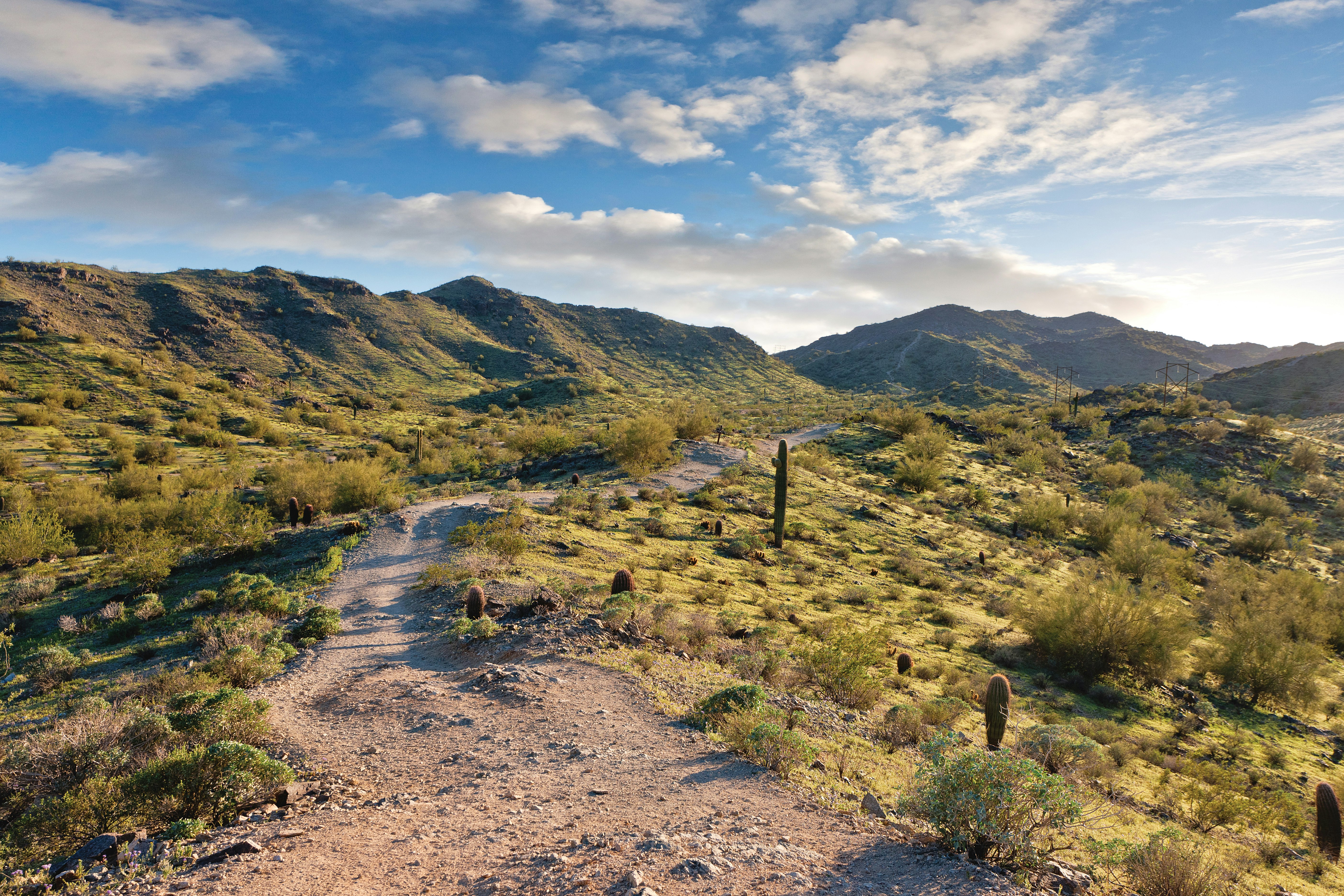 Worldmark Phoenix South Mountain Preserve 21/50