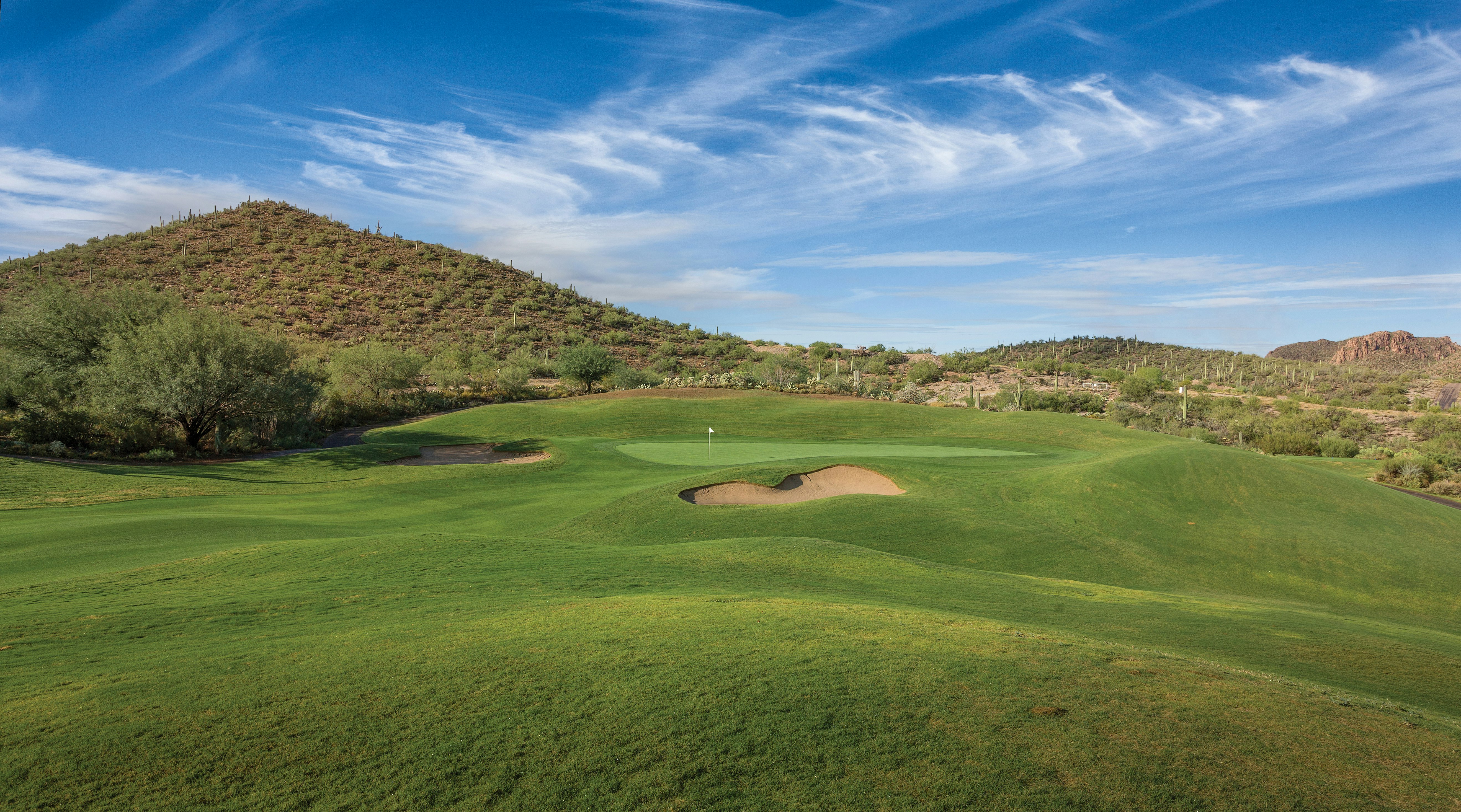 Starr Pass Golf Suites 45/50