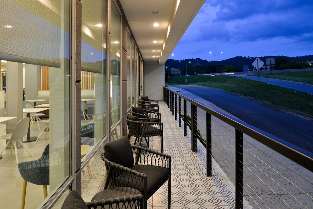 TownePlace Suites by Marriott Asheville Downtown 27/37