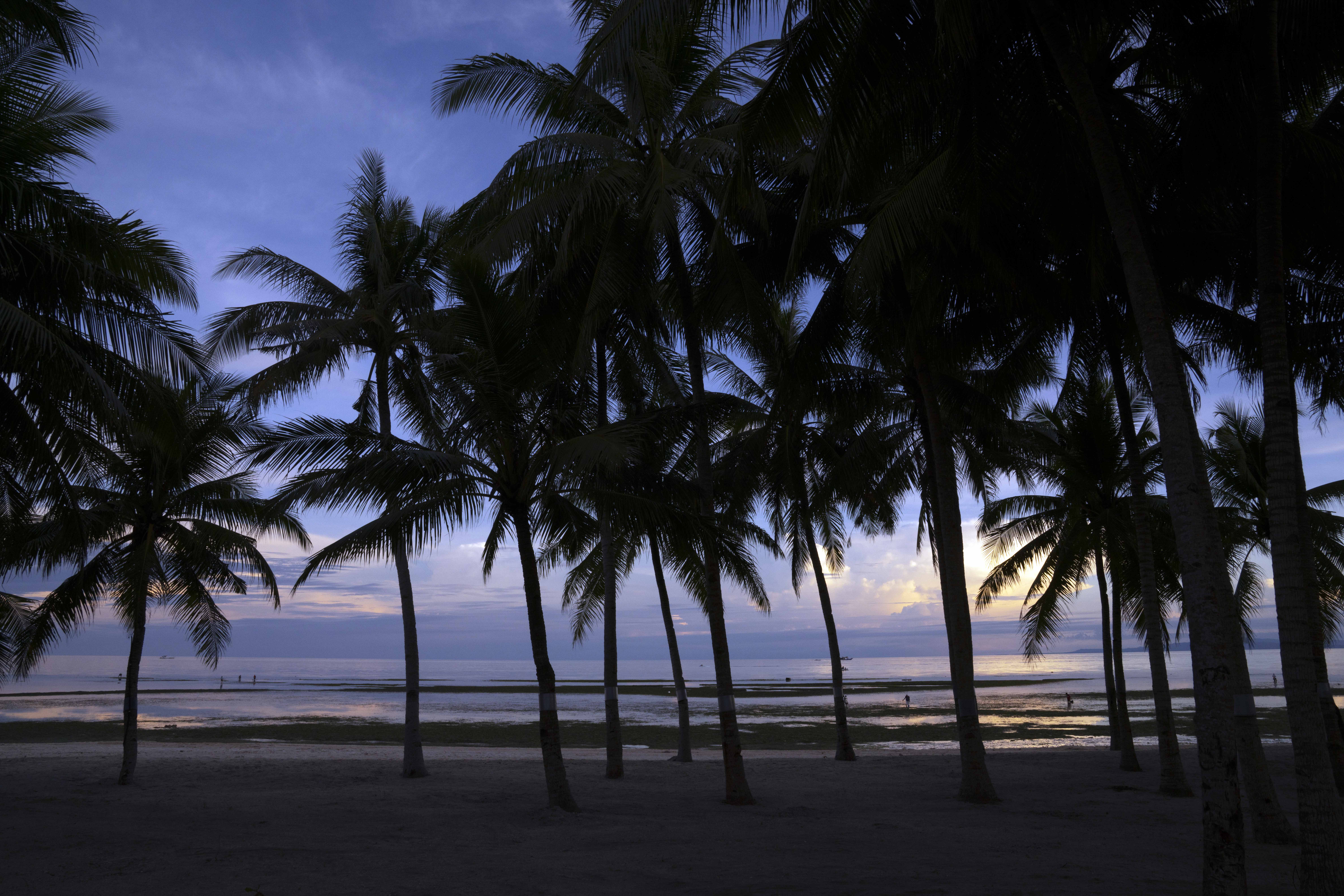 South Palms Resort and Spa Panglao - MGallery Collection 36/55