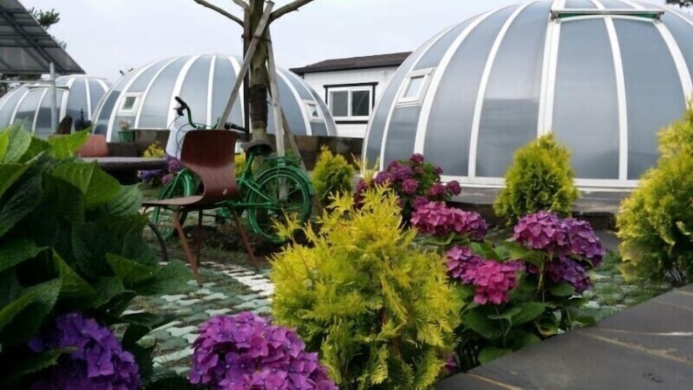 Jeju Igloo Pension 43/45