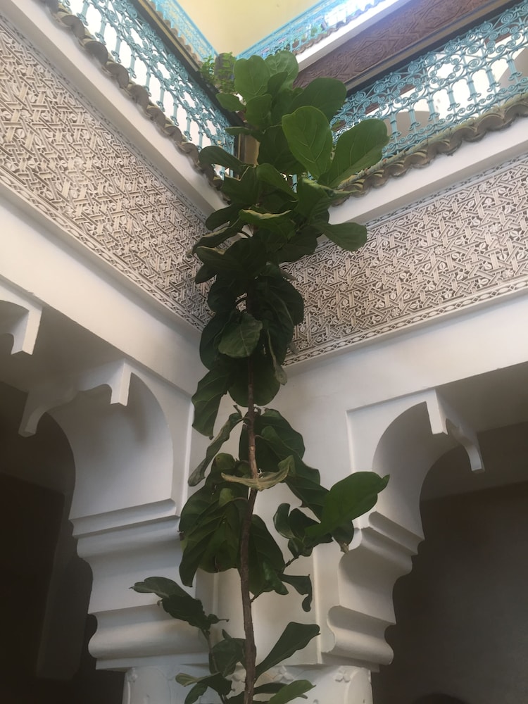 Riad Ben Tachfine 42/50