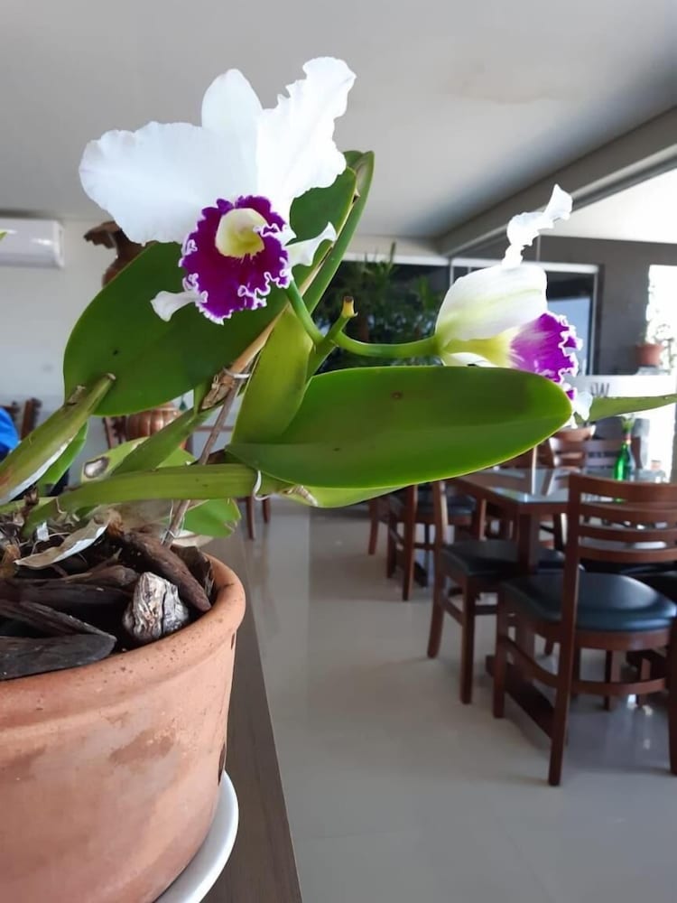 WR Confort Hotel Campo Grande 44/62