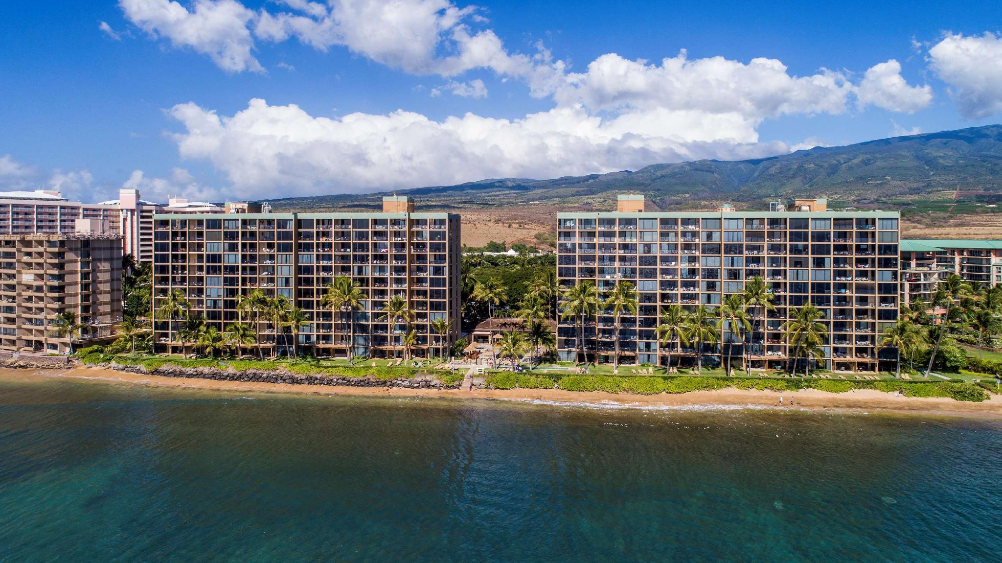 2 Bedrooms, Suite, Ocean Front, 2 Bathrooms, Kitchen