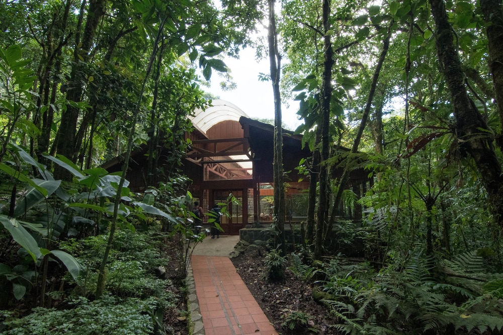 Hotel Ficus Monteverde 11/74