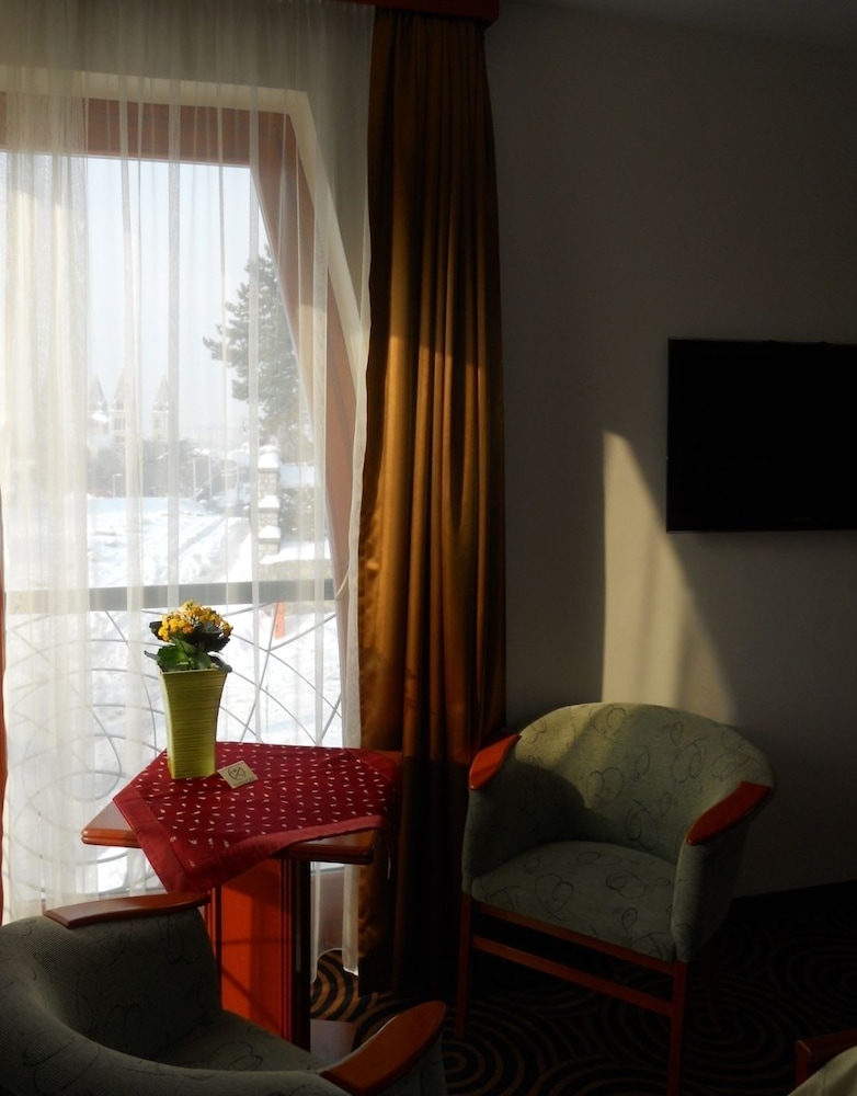 Hotel Millennium 29/50