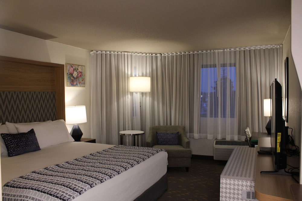 Junior Suite, King Bed