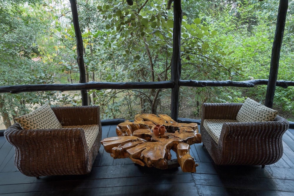 TREE HOUSE HIDEAWAY 20/50
