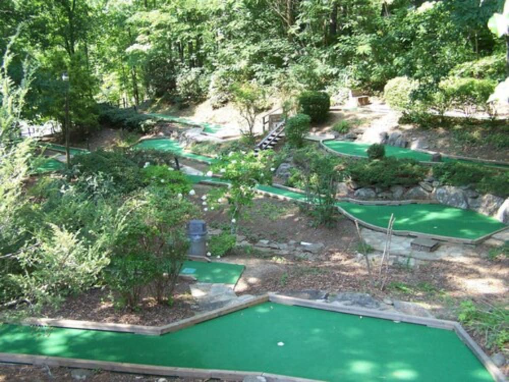 Fontana Village Resort 42/51