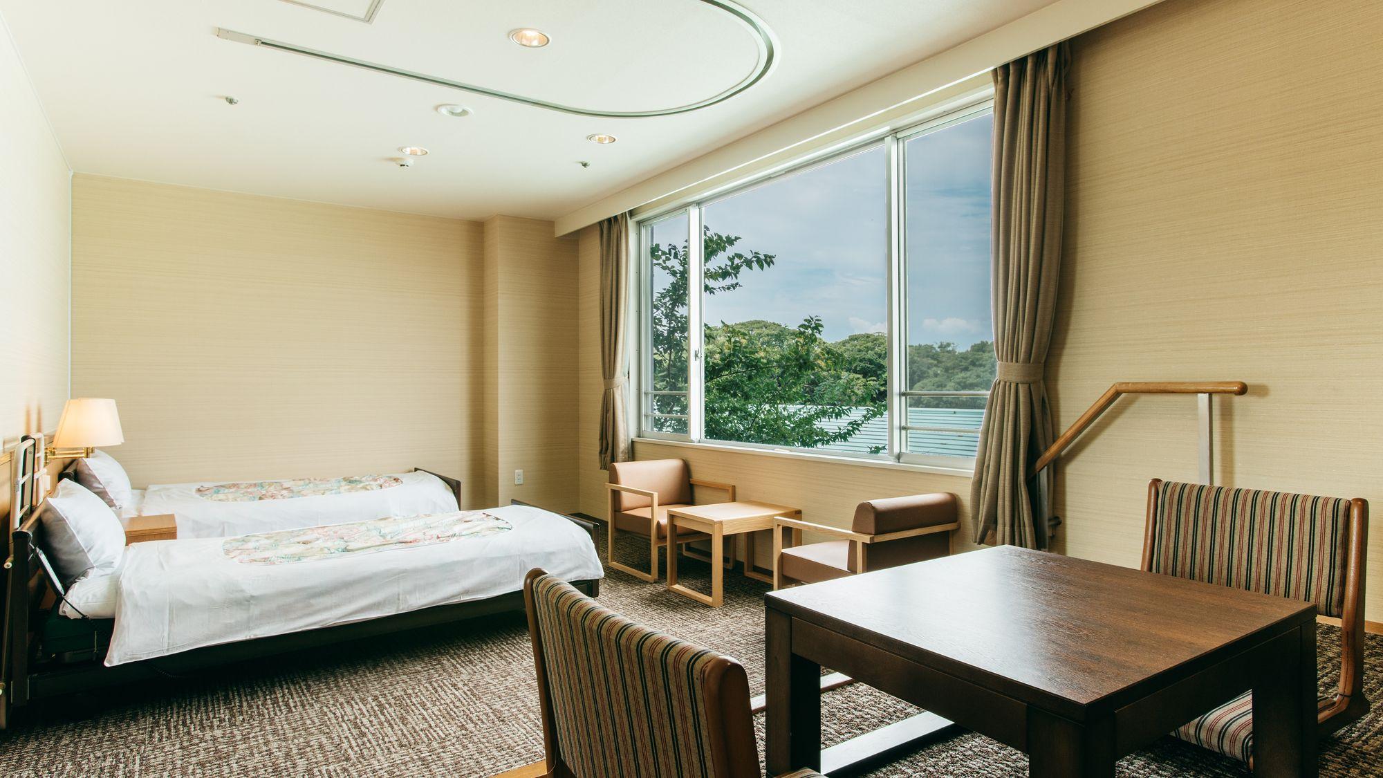 Room, Bathtub, Accessible