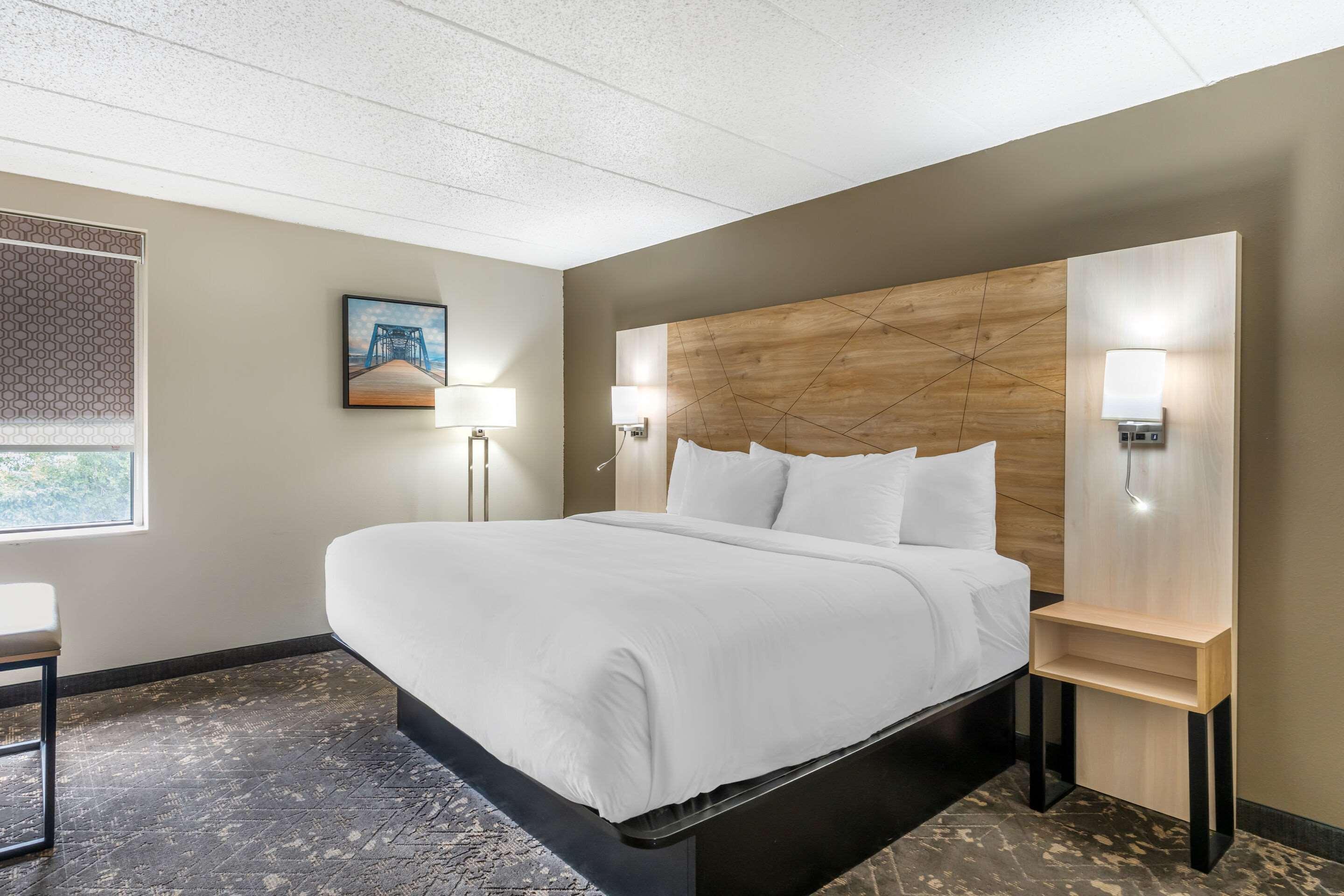 SUITE, KING BED