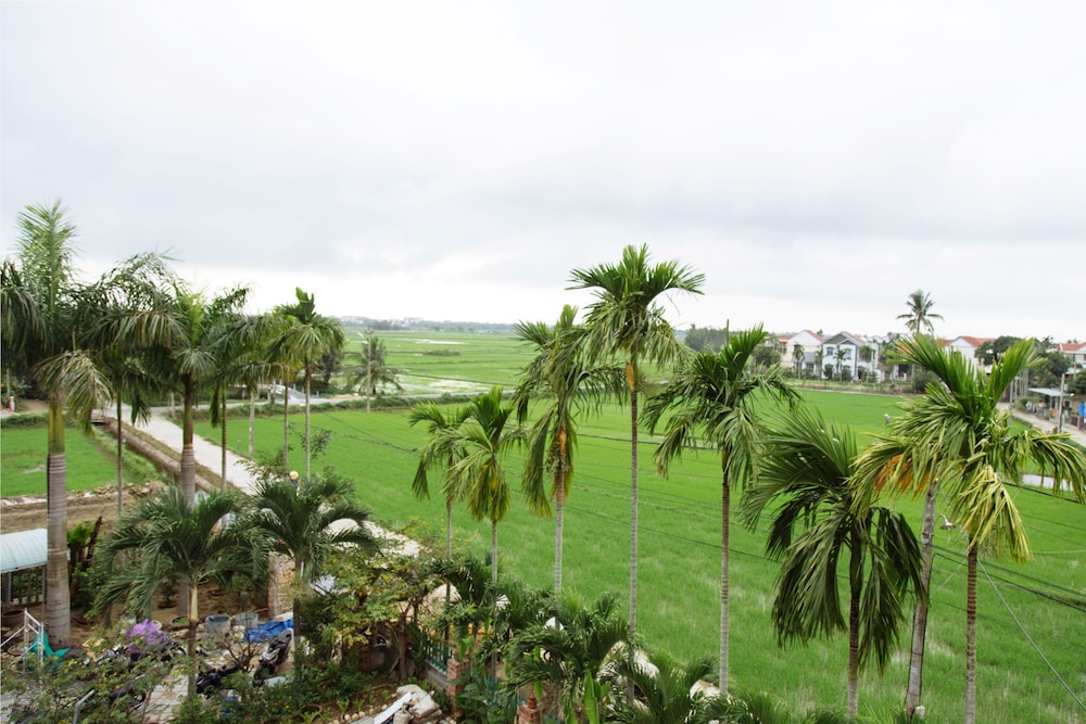 Hoi An Golden Rice Villa 47/58