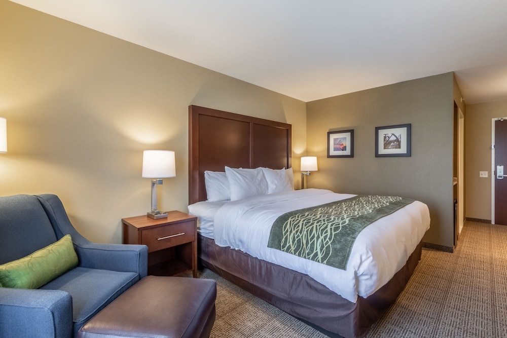 Comfort Inn & Suites - Harrisburg Airport - Hershey South 13/48
