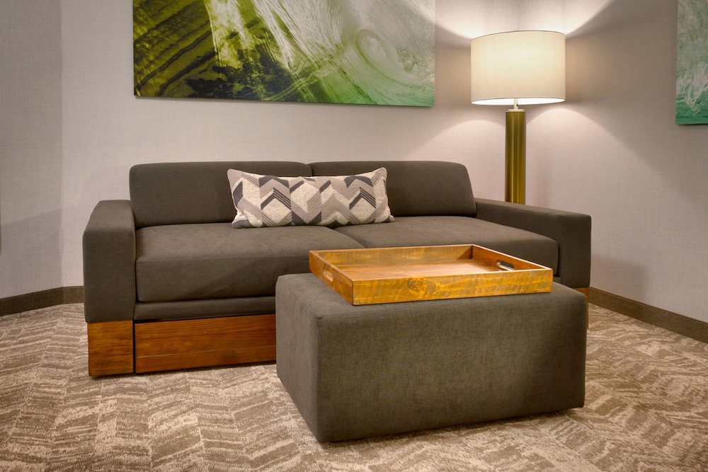 SPRINGHILL SUITES IDAHO FALLS 23/34