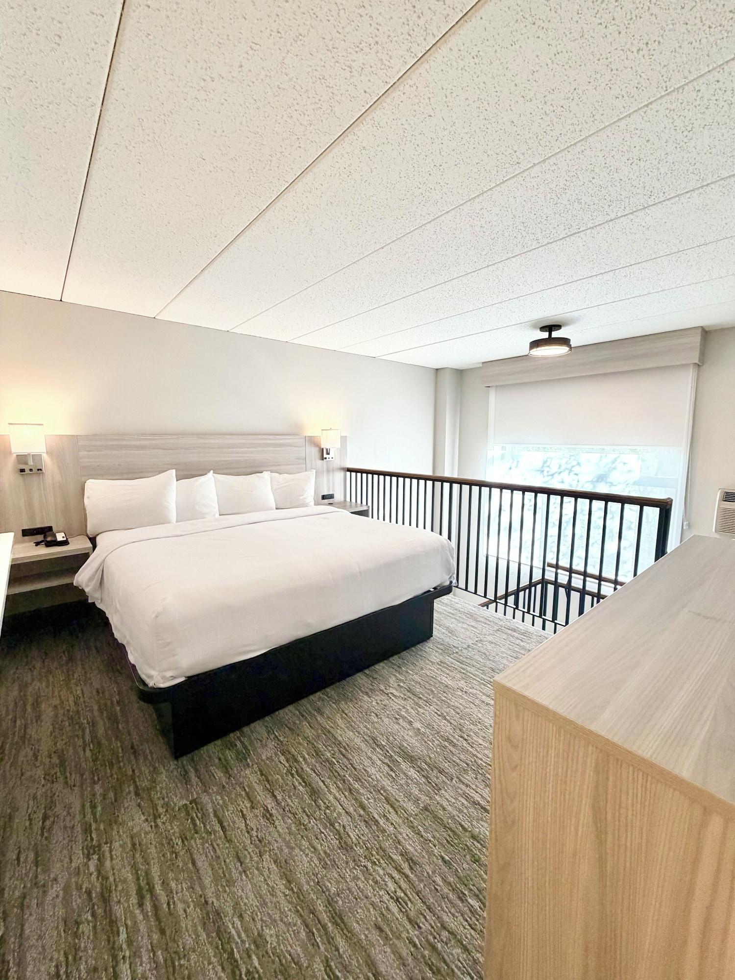 Suite, Multiple Beds