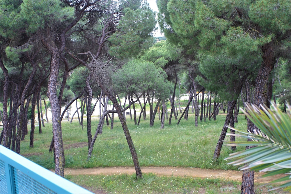 Hotel Oromana 73/75