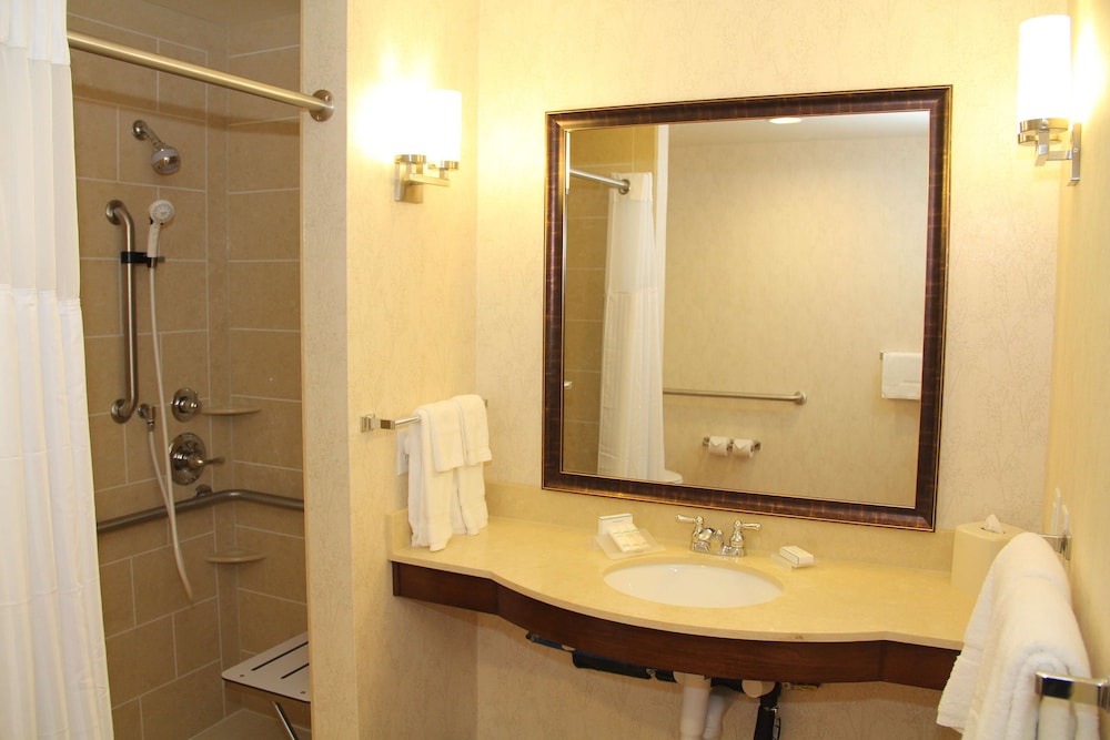 Hilton Garden Inn San Antonio At The Rim 15/55