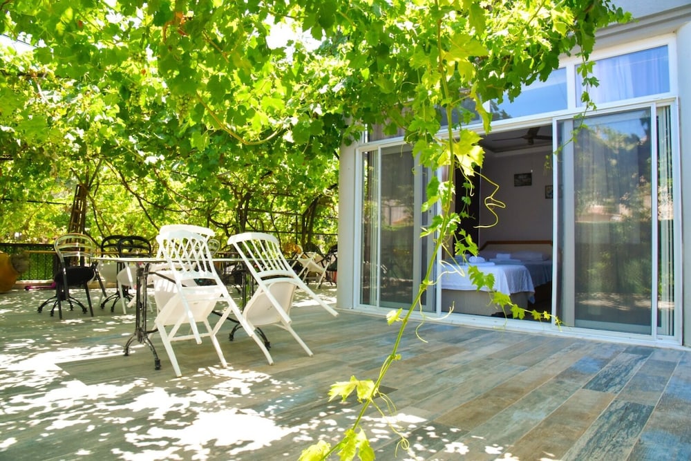 Balim Sultany 23/50